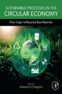 Sustainable Processes in the Circular Economy : From Virgin to Recycled Raw Materials - E-Book - PDF